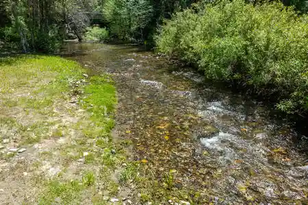 Year Round Creek With Trout